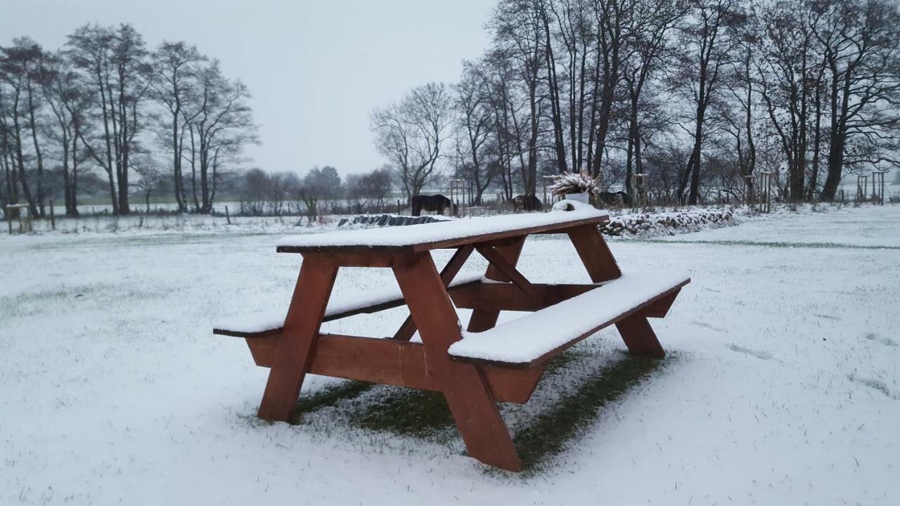 Emsduene Villa Oberlangen Luaran gambar
